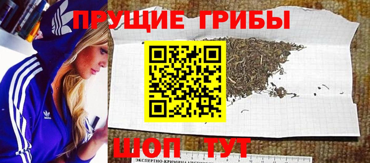 Псилоцибиновые грибы GOLDEN TEACHER Алатырь